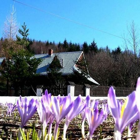 Goralska Czarcia Chata Pod Jalowcem Стришава Екстериор снимка
