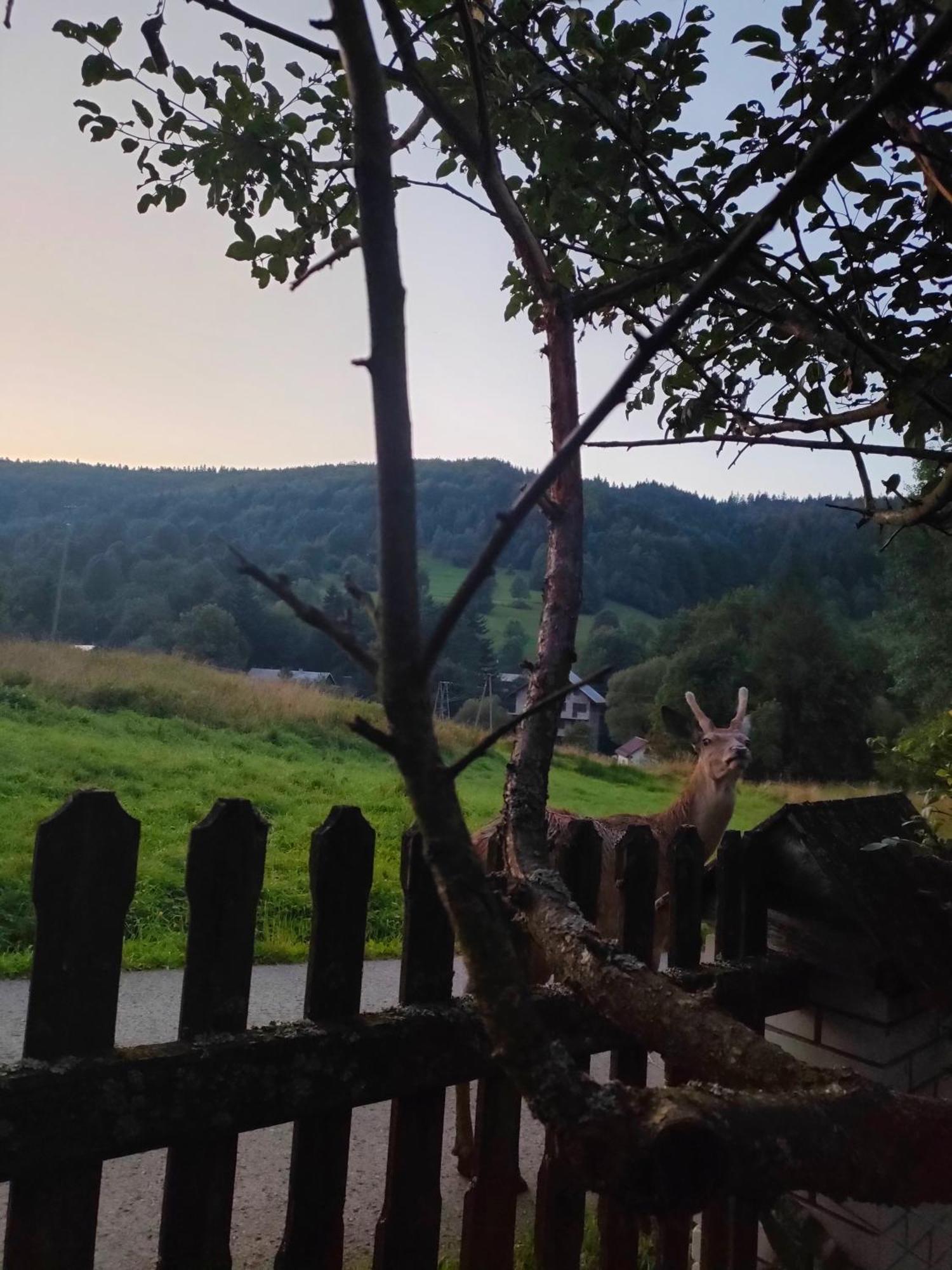 Goralska Czarcia Chata Pod Jalowcem Стришава Екстериор снимка